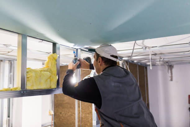 Best DIY Insulation Kits and Guidance in Brownville, NJ